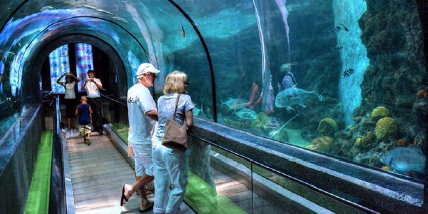 phuket-aquarium-tunnel