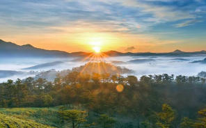 Bỏ Túi Ngay 4 Bí Kíp Săn Mây Đà Lạt Dành Cho Tín đồ Du Lịch