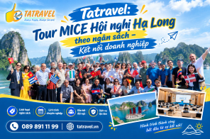 Tatravel:tour Mice Hội Nghị Hạ Long Theo Ngân Sách – Kết Nối Doanh Nghiệp
