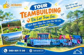 Tour Teambuilding Đà Lạt Trọn Gói: Kịch Bản May Đo, Chi Phí Tối Ưu Cho Doanh Nghiệp