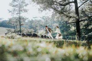 Tour Du Lịch Đà Lạt - Nha Trang - Cung Đường Hoa & Biển (4N3Đ)