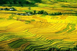 Tour Du Lịch Sapa - Hàm Rồng - Fansipan - Bản Cát Cát (3N2Đ)