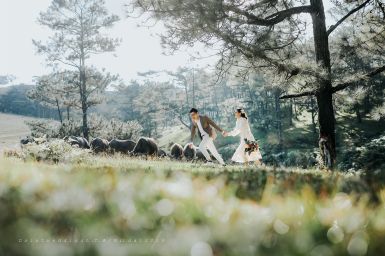 Tour Du Lịch Đà Lạt - Nha Trang - Cung Đường Hoa & Biển (4N3Đ)