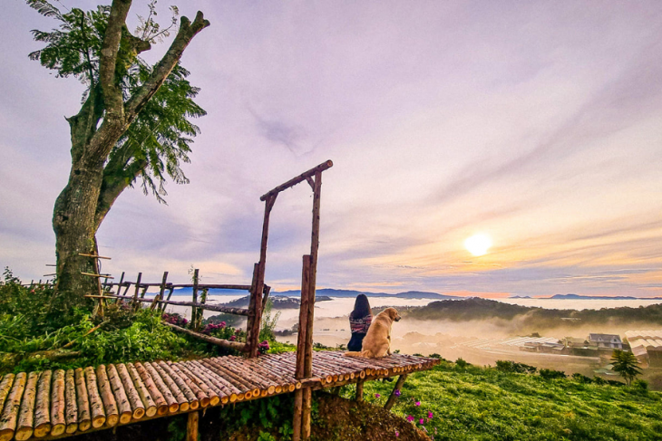 Top 7 địa điểm Săn Mây Tại Đà Lạt Làm "nao Lòng" Bao Du Khách 