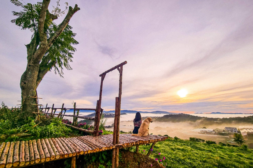 Top 7 địa điểm Săn Mây Tại Đà Lạt Làm "nao Lòng" Bao Du Khách 