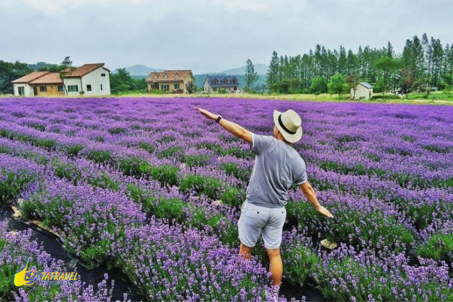 Du lịch Đà Lạt mùa hè