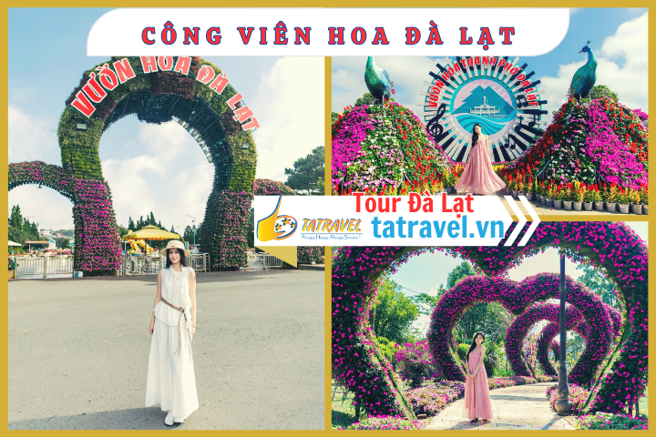 vườn hoa th&agrave;nh phố Đ&agrave; Lạt - Tour Đ&agrave; Lạt 1 ng&agrave;y 2026 - tatravel.vn - tourdalat1ngay.vn-01